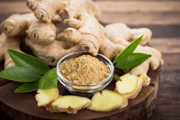 خواص دارویی و درمانی زنجبیل خواص دارویی و درمانی زنجبیل