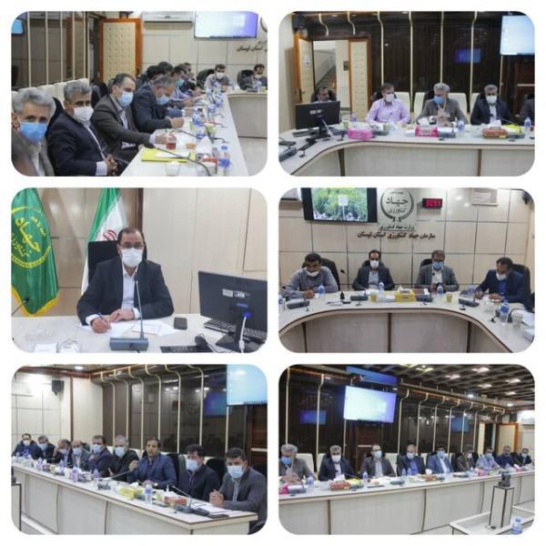 افزایش 25 درصدی تولید در دیم زارهای لرستان افزایش 25 درصدی تولید در دیم زارهای لرستان