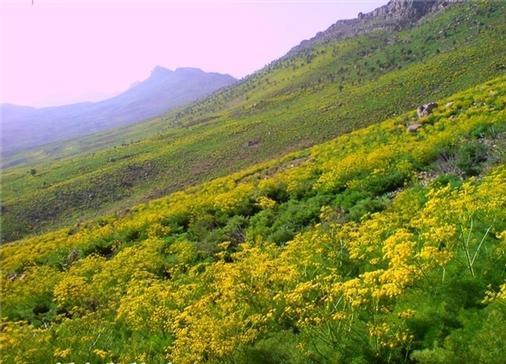 سرزمین هزار چشمه ایران در خطر انقراض