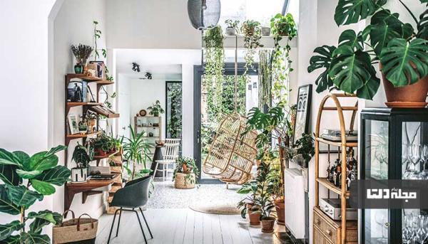 4 ایده خلاقانه در تزیین خانه با گل و گیاه