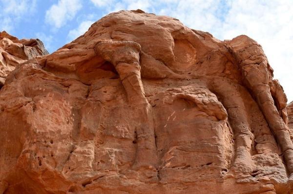 شتر های سنگی عربستان؛ 3 هزار سال قدیمی تر از اهرام مصر!